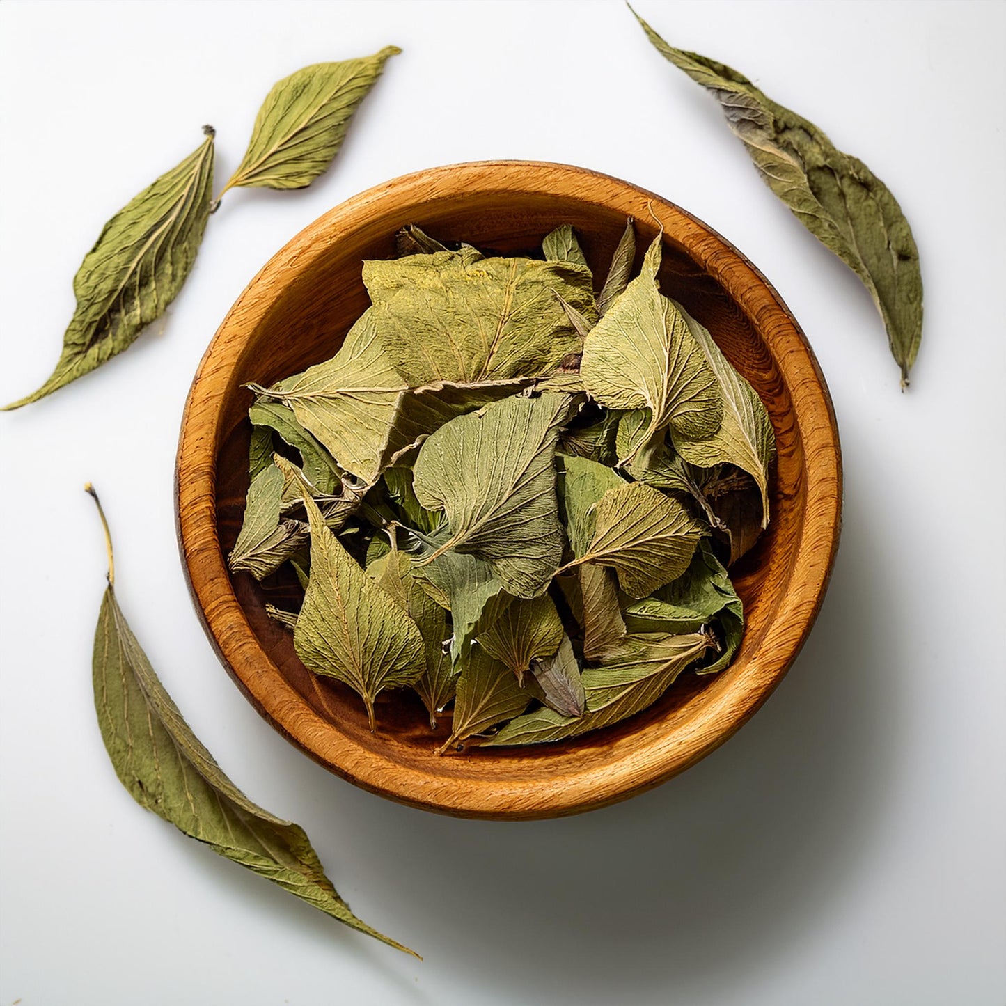 Insulin Plant Leaves