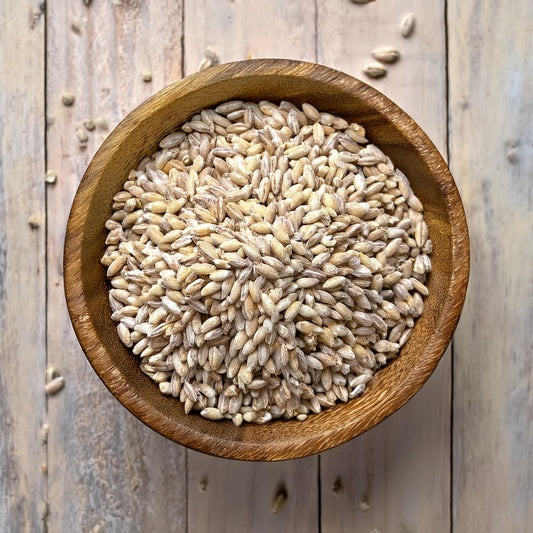 Barley
